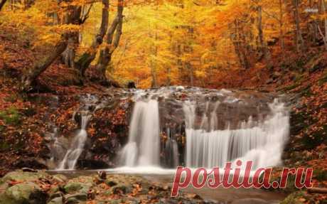 Листьев жёлтых, листьев красных, много в эти дни. посмотрите, как прекрасно выглядят они!