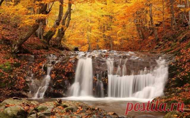 Листьев жёлтых, листьев красных, много в эти дни. посмотрите, как прекрасно выглядят они!