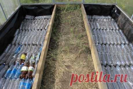 Butylki_Na_Grjadke.jpg (400×267)