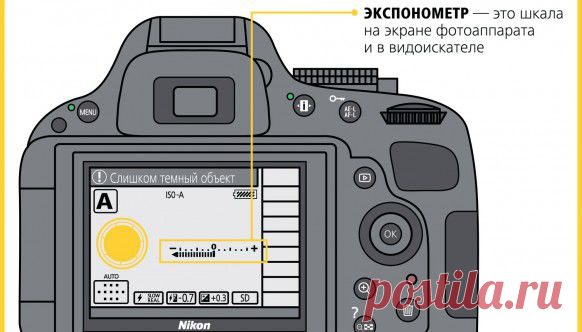 Как научиться фотографировать: пошаговая инструкция от Nikon