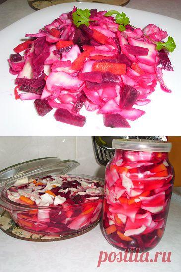 Капуста маринованная со свеклой «Пелюстка» | Рецепты моей мамы