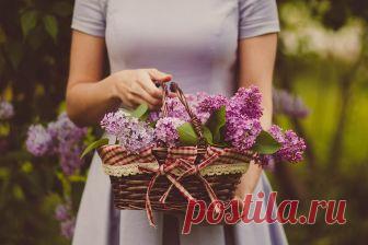 План похудения к лету. Программа на 6 недель Страшно снимать куртку и надевать платье, потому что зима была сладкой и сытной? С кем не бывает. Программа похудения на 6 недель избавит от 5 -7 килограммов и вернет потерянную форму. Подключайся, еще есть время подготовить тело к лету!
