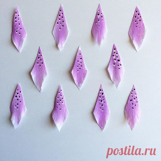 I'm having a really bad day, but, on the bright side, I got a bunch of orchid labella done!