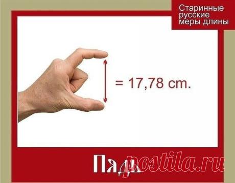 (49) Одноклассники