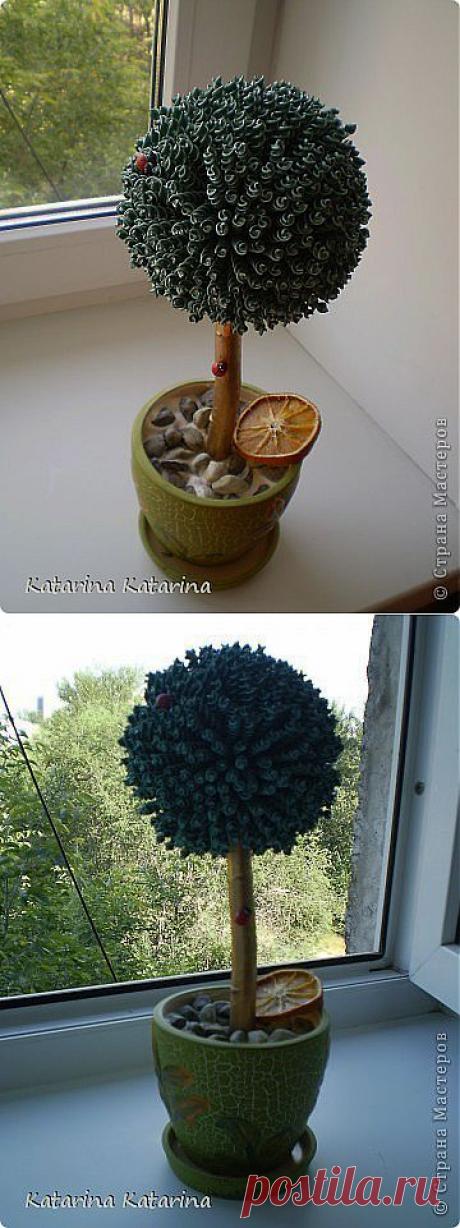 мой самый любимый топиарий | Страна Мастеров