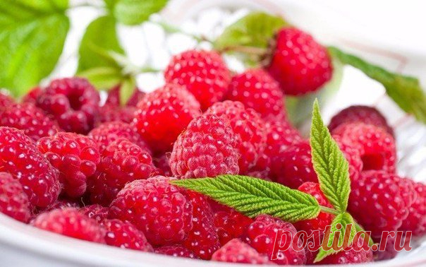 ПОЛЕЗНАЯ ЕДА-8 продуктов долголетия, доступных каждому:
