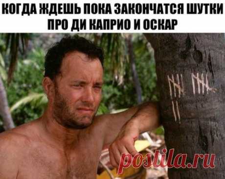 Прикольные фотомемы (29 шт)