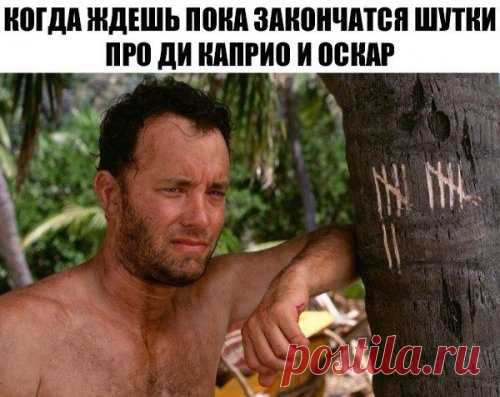 Прикольные фотомемы (29 шт)
