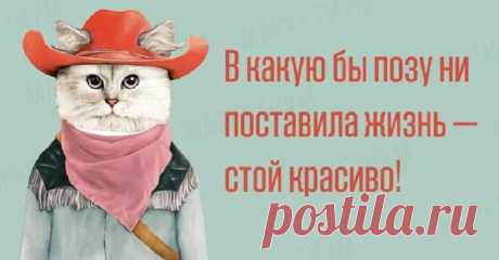 Из золотых жизненных правил на некоторых открытках — SamantaWay