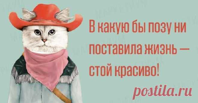 Из золотых жизненных правил на некоторых открытках — SamantaWay
