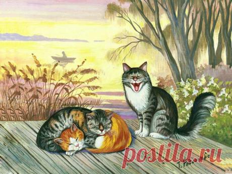 Котогалерея Татьяны Родионовой — Moimultiki :: @дневники: асоциальная сеть