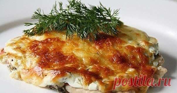 Куриная отбивная под сырной корочкой. Куриная отбивная под сырной корочкой. 

Немногие знают, что приготовить отбивные можно не только из свинины или говядины, гораздо сочнее, мягче и вкуснее они получаются из мяса птицы. Притом готовится такое блюдо на скорую руку. Поэтому если у вас не хватает времени, этот рецепт станет настоящей палочкой-выручалочкой. 

Вам потребуется:

Филе куриное - 3 шт., 
Помидоры - 2 шт., 
Сыр - 100 г, 
Йогурт натуральный - 200 г, 
Зелень укропа ...
