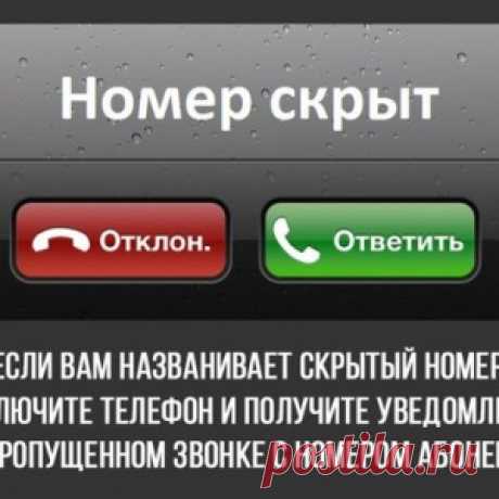 9 интересных советов, которые вы никогда не слышали - МирТесен