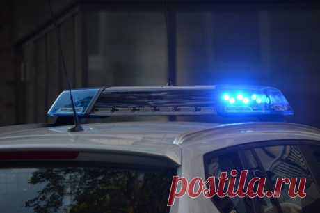 В Ватикане нашли зацепку в деле о пропавшей 40 лет назад школьнице. В прокуратуре заявили, что поговорили с людьми, «работавшими 40 лет назад в определенных офисах».