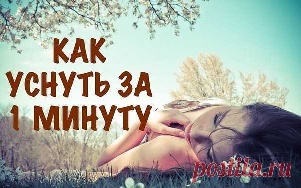 (50) Одноклассники