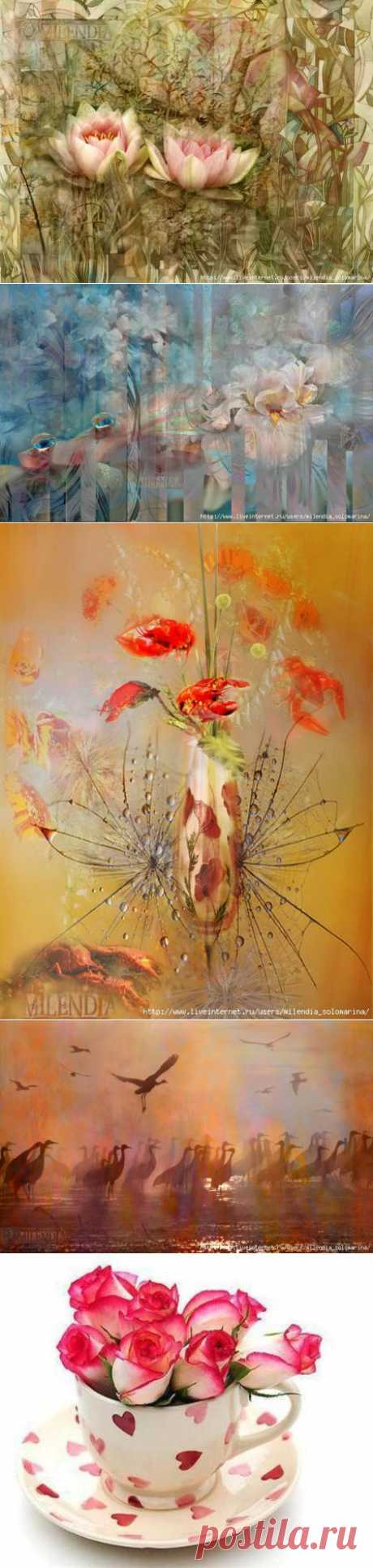 Галерея моих картин &quot;Простые сложности&quot; + мысли вслух Наполеона Хилла