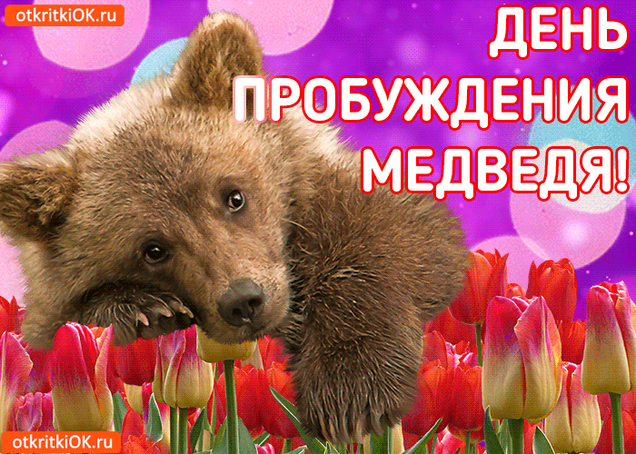 Желаю бодрости, как у медведя, который только что вышел из берлоги! Пусть эта весна принесет удачу, здоровье и много приятных событий! Открытки на День пробуждения медведя!