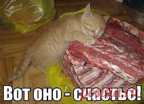 Счастье!!!