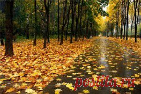 Мой Мир@Mail.Ru