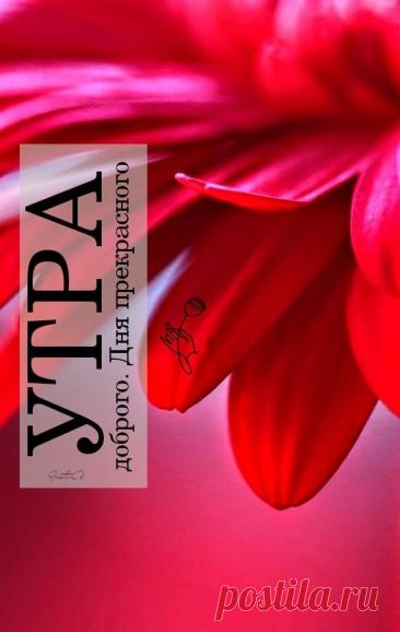 С добрым утром Привет Здрасте