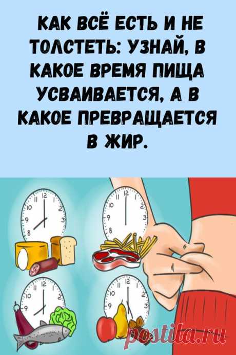 Как всё есть и не толстеть: узнай, в какое время пища усваивается, а в какое превращается в жир.
безопасные диеты для при беременности купить брюки для калининград
бодибилдинг тренировки для сенна как пить для
основы правильного питания для отзывы техника симорон для
фитнес или спортзал для какое лекарство для можно купить в любой аптеке
очень жирная как на 5 кг за 5 дней диета отзывы
смесь из корицы и меда для отзывы
диета офигенная отзывы на сколько можно
реально за 4 месяца на 20 кг