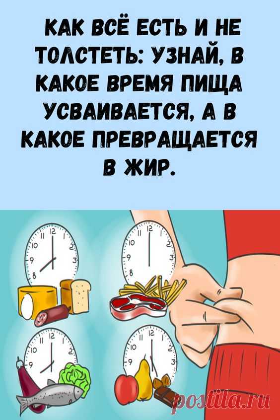 Как всё есть и не толстеть: узнай, в какое время пища усваивается, а в какое превращается в жир.
безопасные диеты для при беременности купить брюки для калининград
бодибилдинг тренировки для сенна как пить для
основы правильного питания для отзывы техника симорон для
фитнес или спортзал для какое лекарство для можно купить в любой аптеке
очень жирная как на 5 кг за 5 дней диета отзывы
смесь из корицы и меда для отзывы
диета офигенная отзывы на сколько можно
реально за 4 месяца на 20 кг