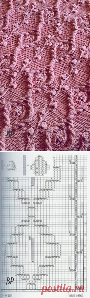 (40) Одноклассники