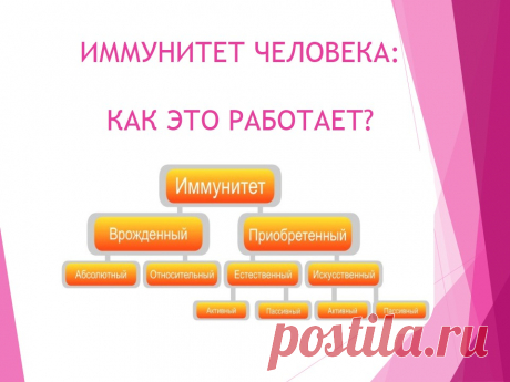 ИММУНИТЕТ ЧЕЛОВЕКА: КАК ЭТО РАБОТАЕТ