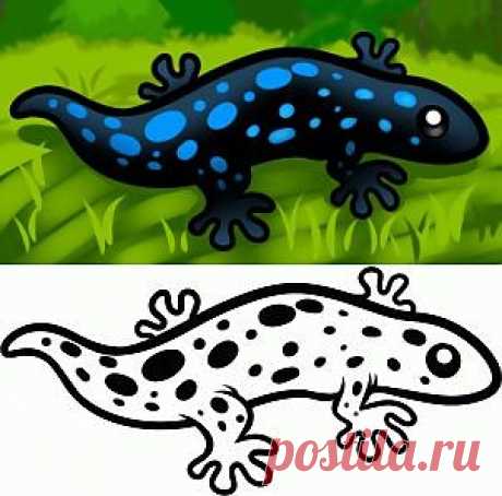 Как легко нарисовать ящерицу.