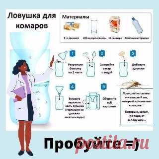 ЯжеХозяйка 🦟Ловушка от комаров своими руками

Смотрите пошаговую инструкцию!