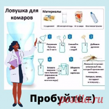 ЯжеХозяйка 🦟Ловушка от комаров своими руками

Смотрите пошаговую инструкцию!