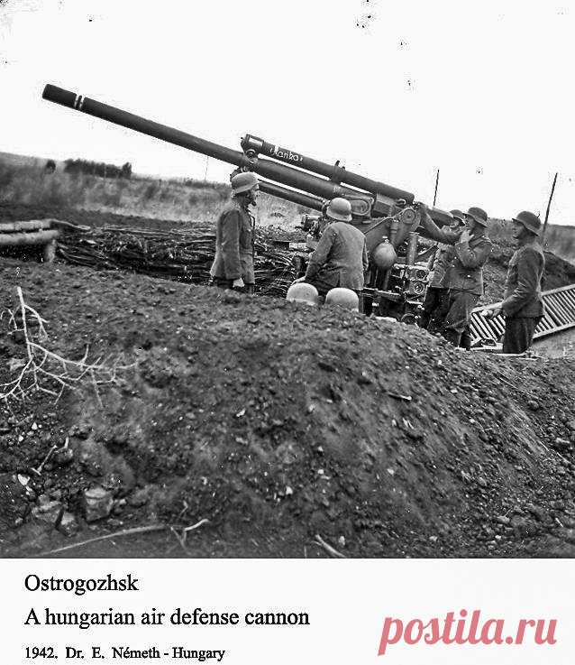 О венграх, которых под Воронежем не брали в плен