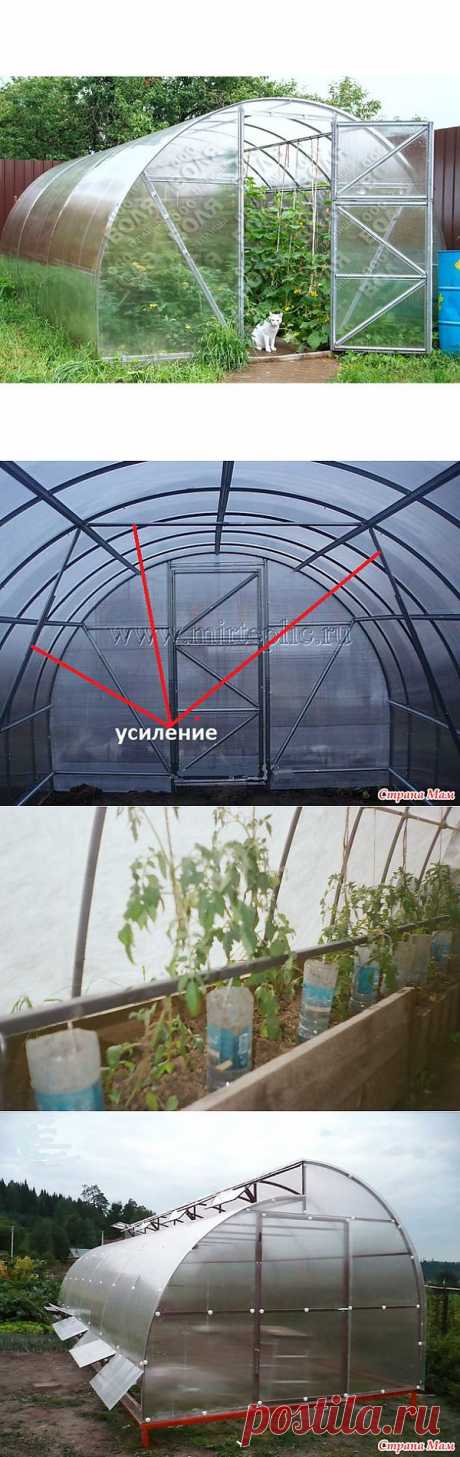 Какая теплица нужна?: Дневник группы &quot;Сад, огород&quot; - Страна Мам