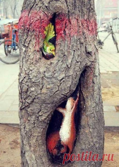 23-летняя студентка искусства, Ван Юэ, использует отверстия на стволах деревьев, как холст для её последних работ