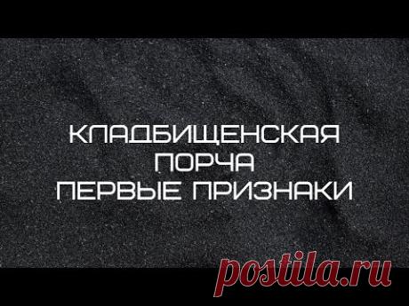 Эзотерика.Кладбищенская порча, проклятие как защититься от черной магии.Магия и другие обряды.