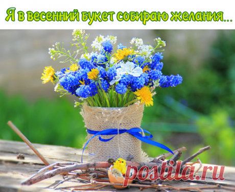 Я В ВЕСЕННИЙ БУКЕТ СОБИРАЮ ЖЕЛАНЬЯ, В голубые и жёлтые окунаюсь тона. Гиацинты и крокусы мне несут ожидания, А арабис альпийский-от него жду тепла. Разноцветие это я разбавлю нарциссом, Белый цвет,как невеста,обещает любовь. Завершу свой букет нежно-синим ирисом И к тебе я на кофе загляну утром вновь...