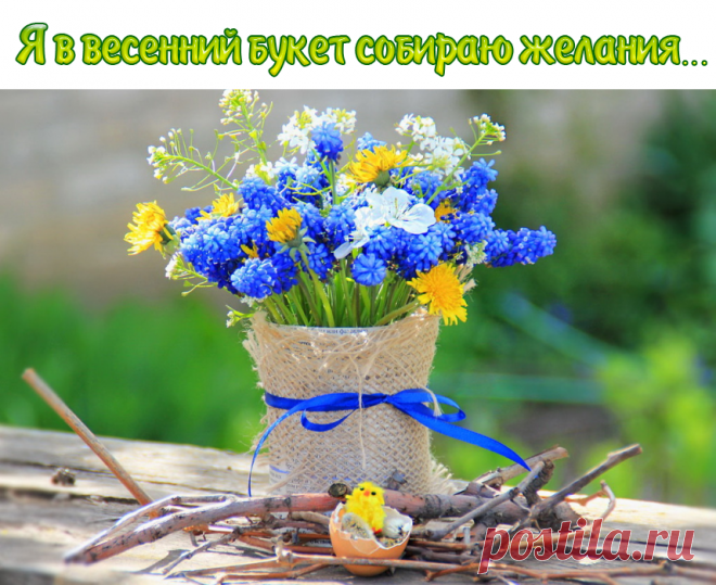Я В ВЕСЕННИЙ БУКЕТ СОБИРАЮ ЖЕЛАНЬЯ, В голубые и жёлтые окунаюсь тона. Гиацинты и крокусы мне несут ожидания, А арабис альпийский-от него жду тепла. Разноцветие это я разбавлю нарциссом, Белый цвет,как невеста,обещает любовь. Завершу свой букет нежно-синим ирисом И к тебе я на кофе загляну утром вновь...