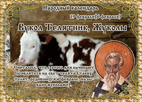 Пусть в день Жуколы в хлеву будет тепло, а в доме — сыто. Здоровья животинке и процветания хозяйству! Открытки на Вукол Телятник (Жуколы)!