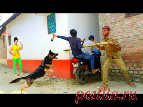 Must Watch New Very Special Funny Video 2024😂Top New Comedy Video 2024 😁Epi 165 Bindas Funny Club