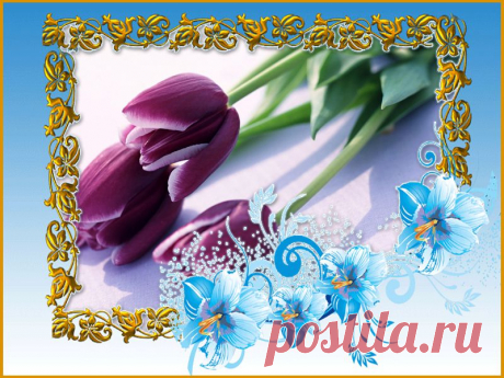 Открытка_5