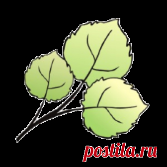Пряжа Обсуждения различных видов пряжи, их свойств и технологических особенностей.