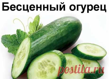 (46) Одноклассники