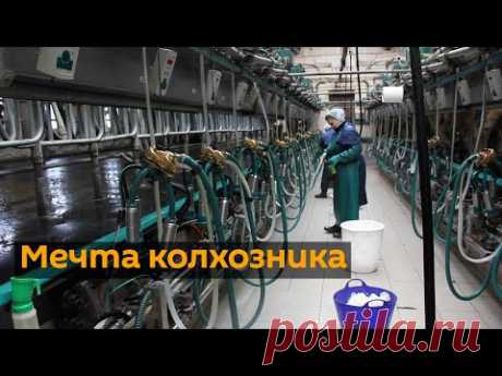 Колхоз из Гродненской области предлагает зарабатывать не меньше, чем молодой программист - grodno24.ru
