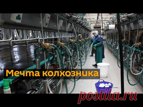 Колхоз из Гродненской области предлагает зарабатывать не меньше, чем молодой программист - grodno24.ru