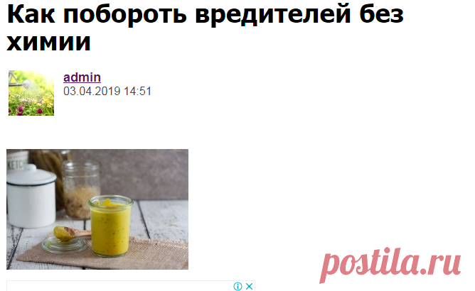 Как побороть вредителей без химии - Садоводка