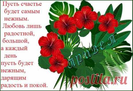 Плейкаст «ПРИВЕТ ДРУЗЬЯМ!!!»