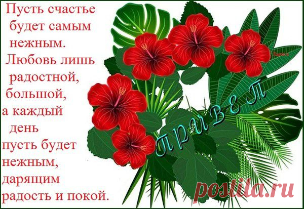 Плейкаст «ПРИВЕТ ДРУЗЬЯМ!!!»