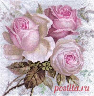 GroЯansicht