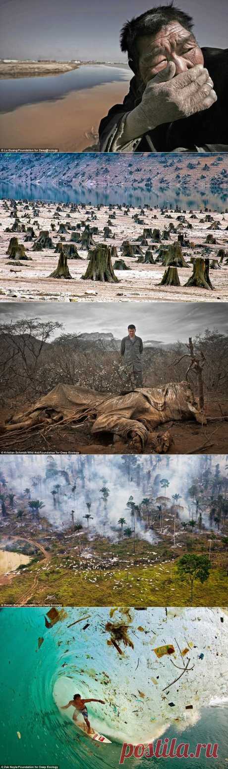 Апокалипсис сегодня. 11 жутких снимков Земли, которые нужно увидеть