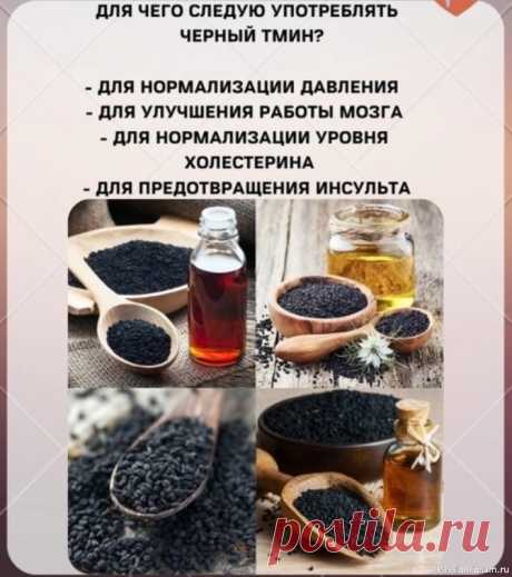 Черный тмин — домашний лекарь Это растение способно уничтожать вредоносные микроорганизмы и нормализовать давление у людей с гипертонией.Для снижения давления достаточно приготовить настой из одной чайной ложки семян черного тмина и 250 мл кипятка, который необходимо выпивать каждое утро вместе с двумя дольками...